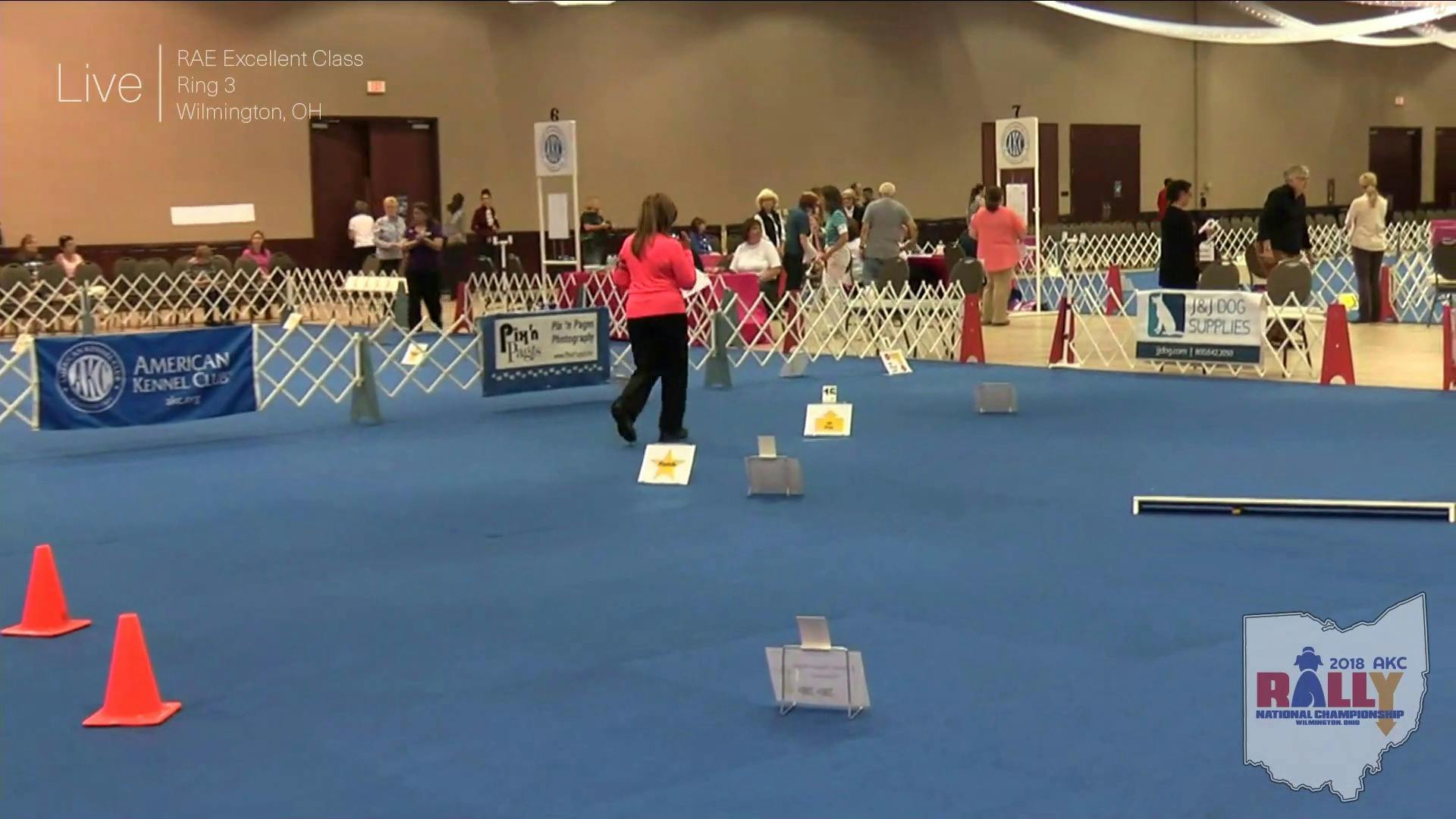 akc-tv-2018-akc-rally-national-championship-ring-3-morning-session