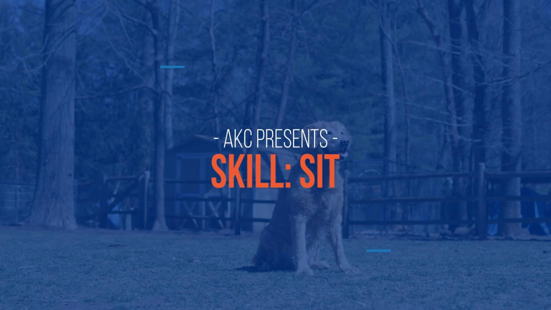 AKC TV Skill 2 Sit