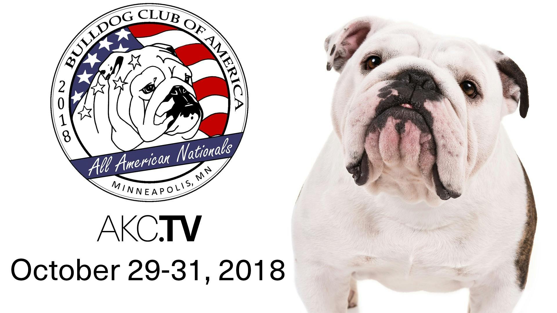 AKC.TV Bulldog Club of America National Specialty 2018