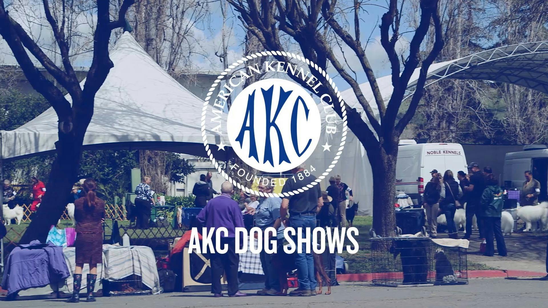 Akc Dog Show 2025 Tv Schedule Wilow Leodora akc-dog-show-2025-tv-schedule-wilow-leodora