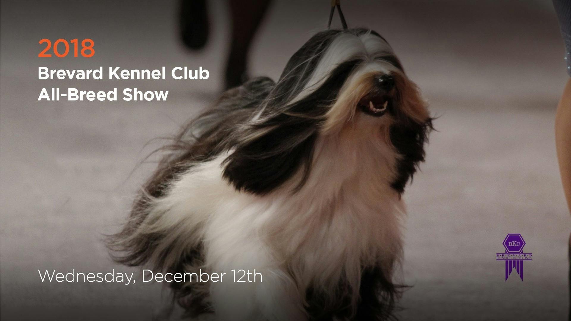 Brevard Kennel Club AllBreed Show AKC.tv